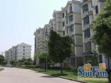 叶城三街坊3室南朝向245.00万元/套出售