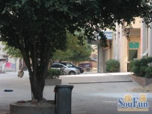 锦砖外墙 有小区管理 圆玄旁 原装电梯 厅大 房大