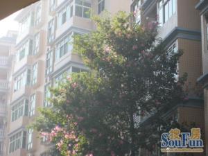 锦鹏苑南北豪装5室