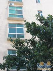 区府广场地段一梯两户电梯中层看花园位置安静