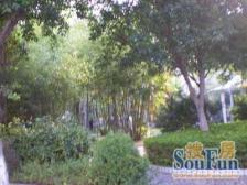 大开间,品质小区,精装修,诚意出售