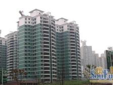 茶园新区 银翔翡翠谷(A区洋房)四房149.5万