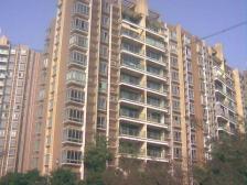 花溪河畔,轻轨旁,精装修 户型方正 业主诚心出售