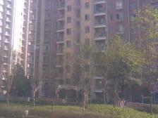 申烨太阳城一期 3室1厅 南