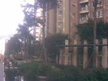 申烨太阳城一期 4室2厅 南