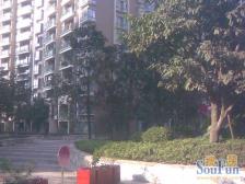 轻轨旁 一梯两户 精装3房2卫 视野开阔 采光好