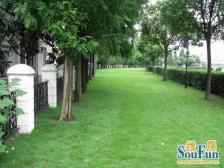 联排别墅,大开间,品质小区,环境优美,精装修,诚意出售