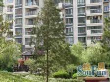 低总价,房间多,可塑性强,花园接近400来平