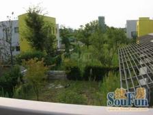 魏玛双拼别墅,南入户北花园,精装修,满五年