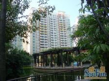 东田丽园五期富田居、南向122平3房2卫