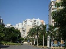 东田丽园 2室2厅 西北