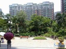 金美花园 2室2厅 南