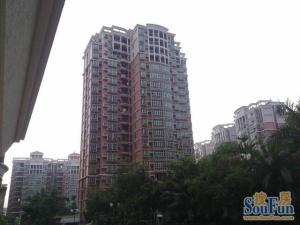 金美花园3室2厅南