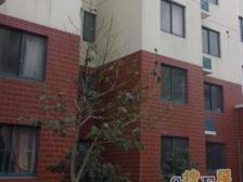 紫翠苑北区(俱进路505弄) 3室2厅 南 北