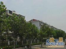 丰庄·真南小区·1室·1厅