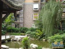 上海城旁品质小区金阳闲庭居正规三房大阳台