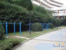 必卖 精装三室 价格美丽 拎包入住