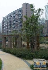 古荡·文三西路30号·1室·1厅