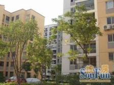 电梯房 南北通 装修自住 满五年 业主诚意