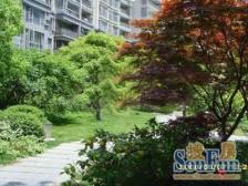 中间楼层南北通透带飘窗+近3.11.12.23号线+近龙华荟