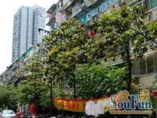 斜土路486弄小区 2室1厅1卫 南