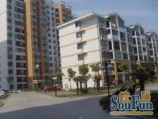 双子塔电梯中间楼层自住装修不靠路看房方便产权清晰随时
