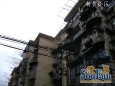 新村路400弄 1室0厅 南