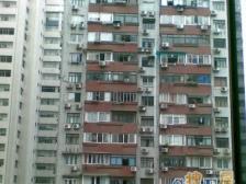 景观房一览无余 电梯高区 一室半 全明户型 有钥匙 随时看