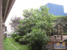 观音桥精装三室,价格美丽,拎包入住