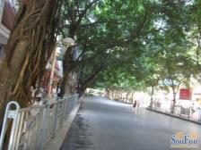 户型方正,出行方便,轻轨旁空气好