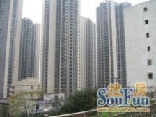 李家沱 丽都锦城一房47.8万