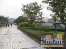 3号线次新房+2016清水两房+自带800米商街