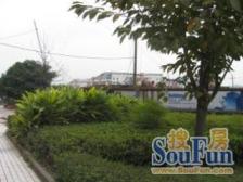 安心卖,交通出行方便,生活配套齐全,采光好