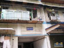 房子位置好,出行方便 。房子户型结构好