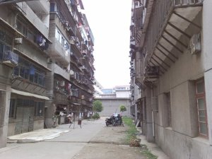 绿苑休闲住宅小区 南北通透,采光好 视野好,诚心出售