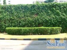 控江·敦化路6弄·1室·1厅