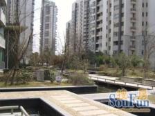 小区景观位置 房型整齐 满5年 无个税 有车位