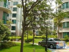 大区主推房源电梯小三房边套户型