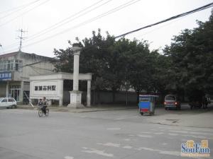 中央花园新城市别墅8室2厅西南