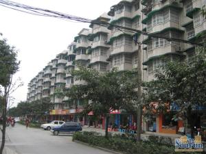园中园南苑3室2厅东南