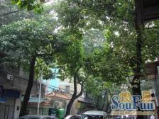 七字单边门面有15米宽采光美丽