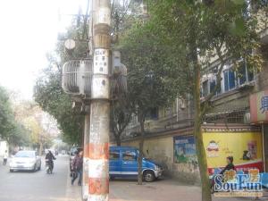 育苗路8号2室1厅西南