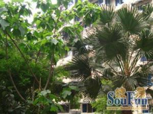 滨江家园 4室2厅 东北