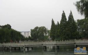 繁华时代 1室2厅 东南