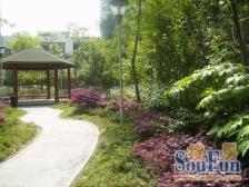 凤溪苑 2室1厅 东南