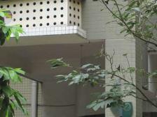 劳动路 学林雅园三房150万