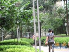 学林雅园上半区 B区 业主诚心出售 安静不吵