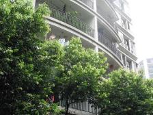 凤天路(小高层,朝中庭)三房双卫安静哟