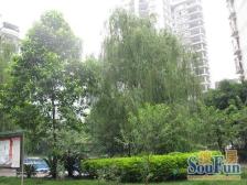 环线(凤鸣山或者图书馆)交通配套成熟,居家舒适