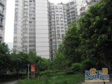 凤天路/凤鸣山【高层,一梯四户,看中庭俱佳】大阳台